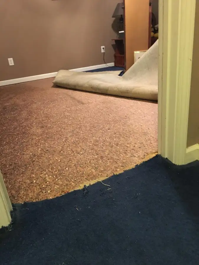 Carpet pad removal revealing water damage during Drying & Dehumidification in Elbridge
