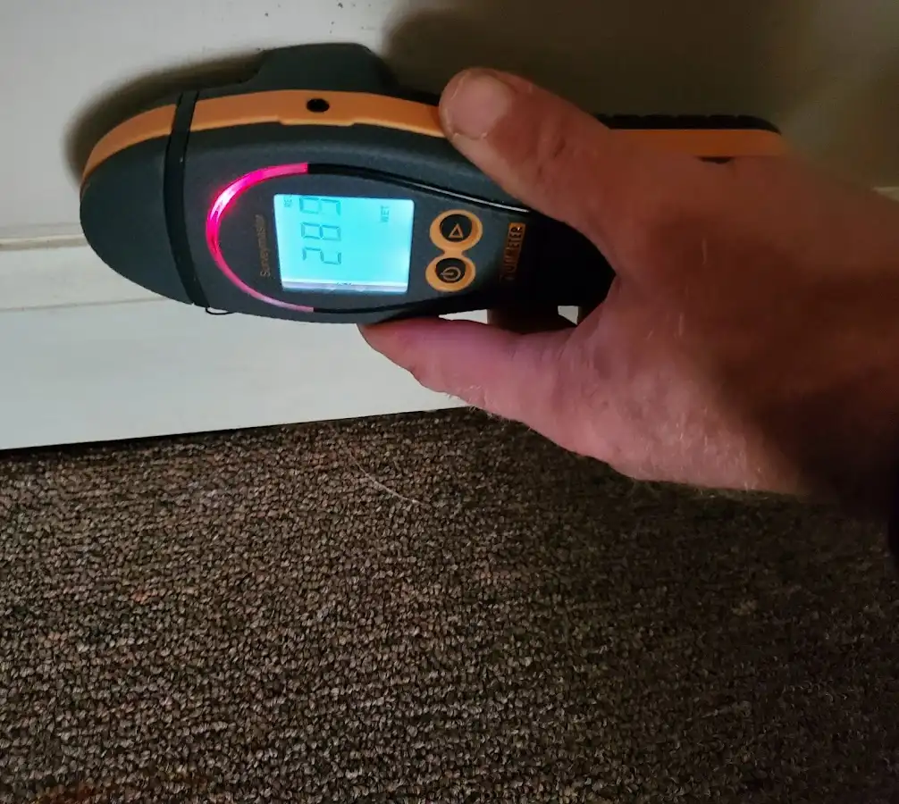 Moisture detection at baseboard during Mold Inspection & Testing in Elbridge